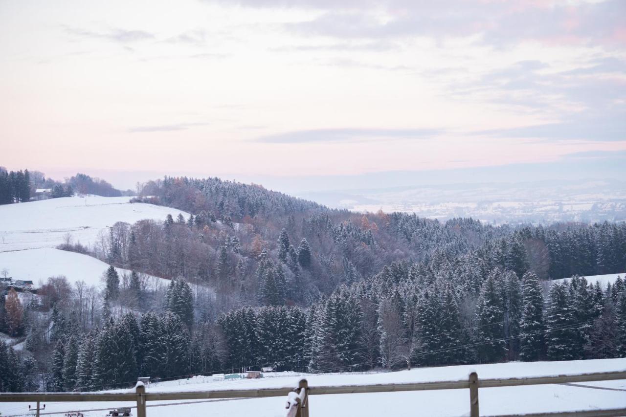 Buchenberg Gut Buchenhof公寓 外观 照片