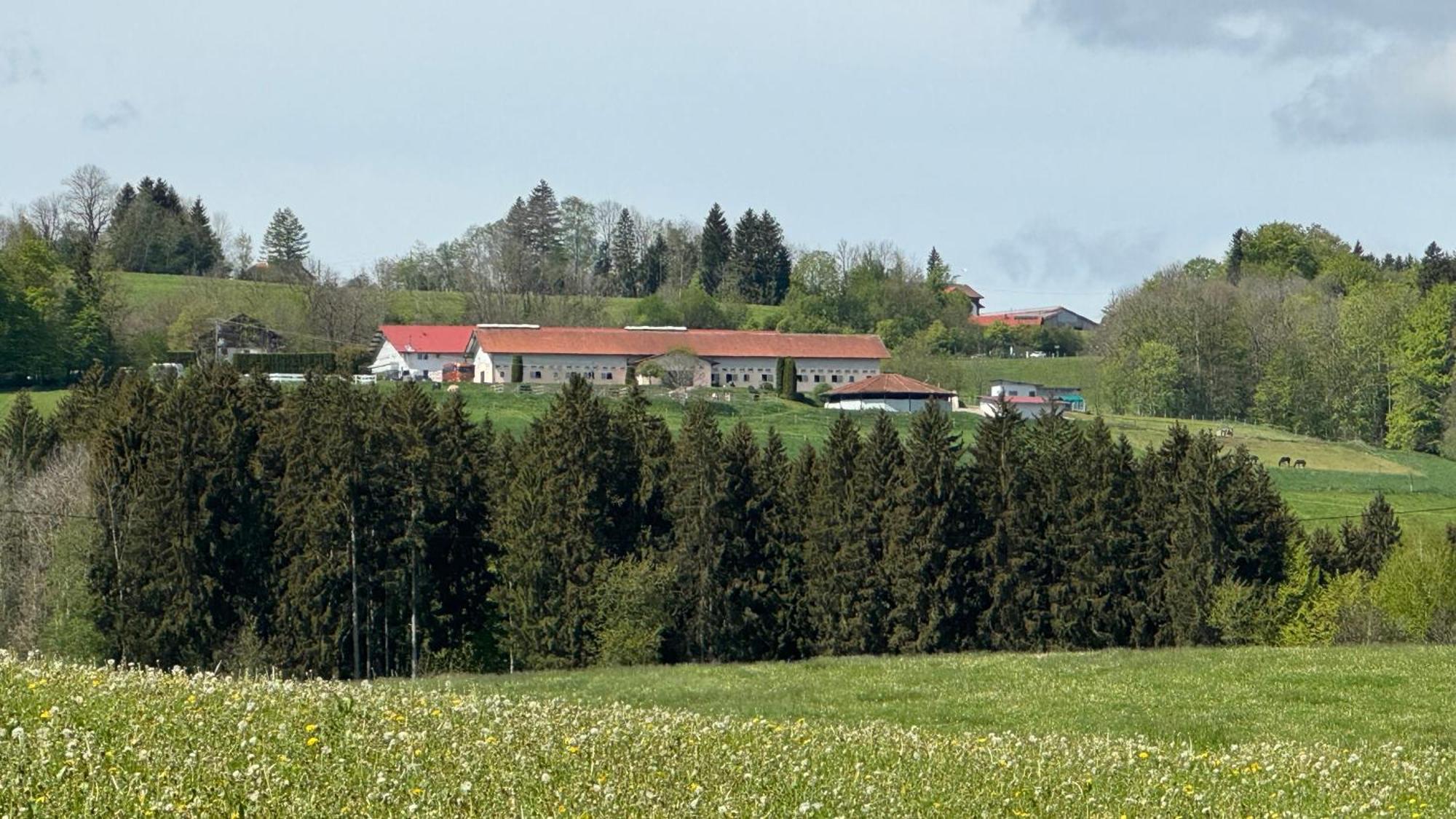 Buchenberg Gut Buchenhof公寓 外观 照片